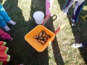 Sklízíme úrodu na zahrádce